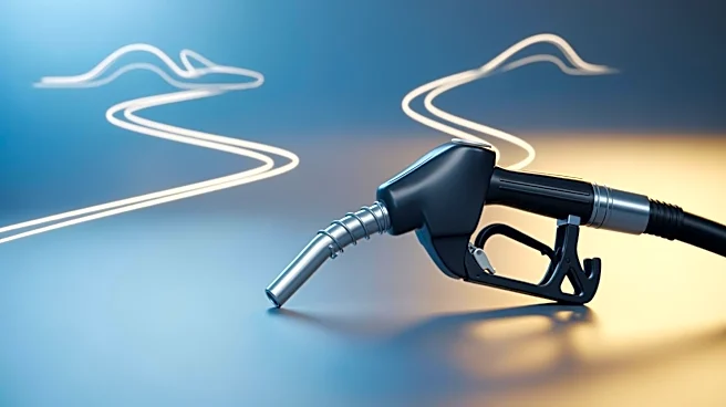 Experience Co Absorbs Fuel Costs to Support Tourism