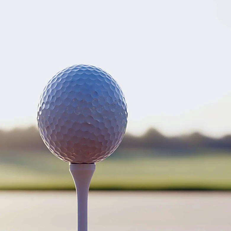 Vanessa Trump Supports Tiger Woods Amid Legal Challenges