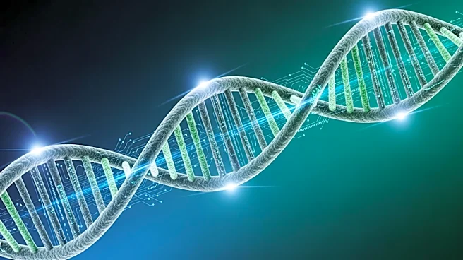 Orionis Biosciences Appoints Dr. Giulio Draetta as Chief Strategy Officer Amid Precision Medicine Expansion