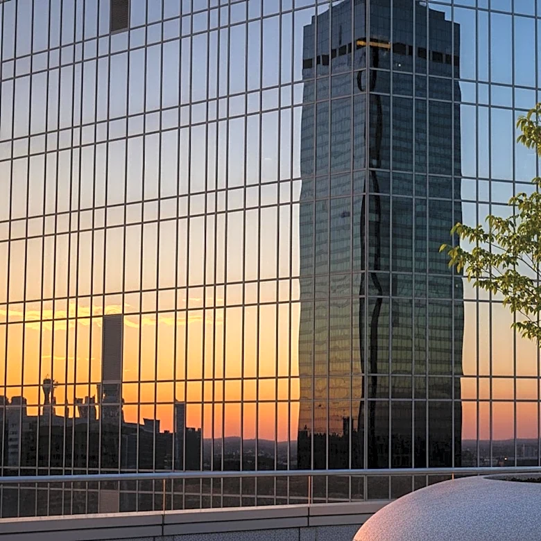 Sapling Financial Consultants Expands U.S. Presence with New York Office