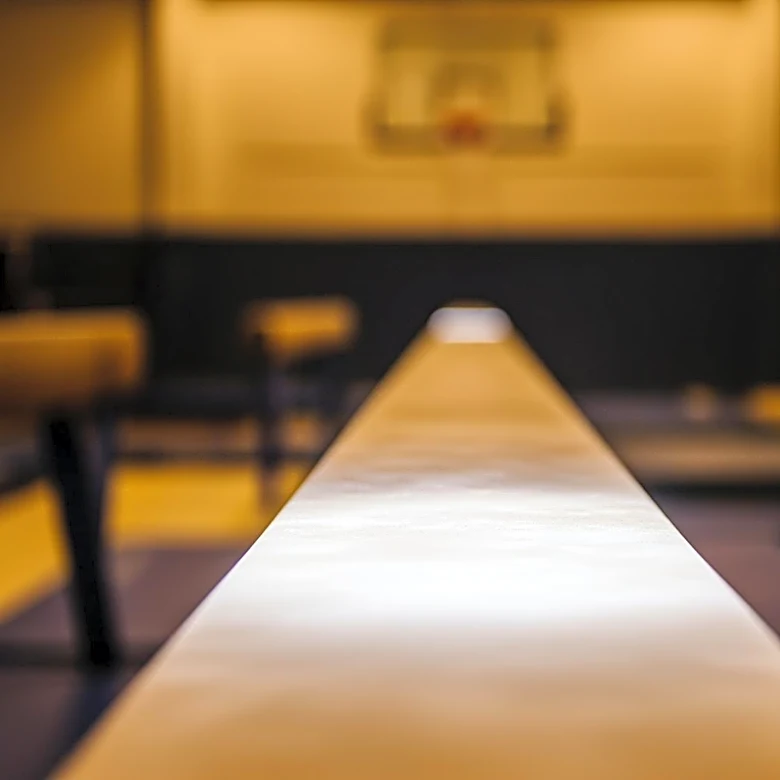 LSU Gymnastics Team Prepares for NCAA Baton Rouge Regional with High Hopes