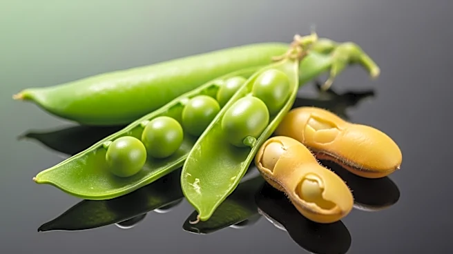 Beyond Meat Projects Decline in Q1 Sales Amid Volatile Plant-Based Market