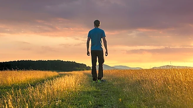 Psychiatrist Recommends 'Awe Walks' for Enhanced Mental Health Benefits