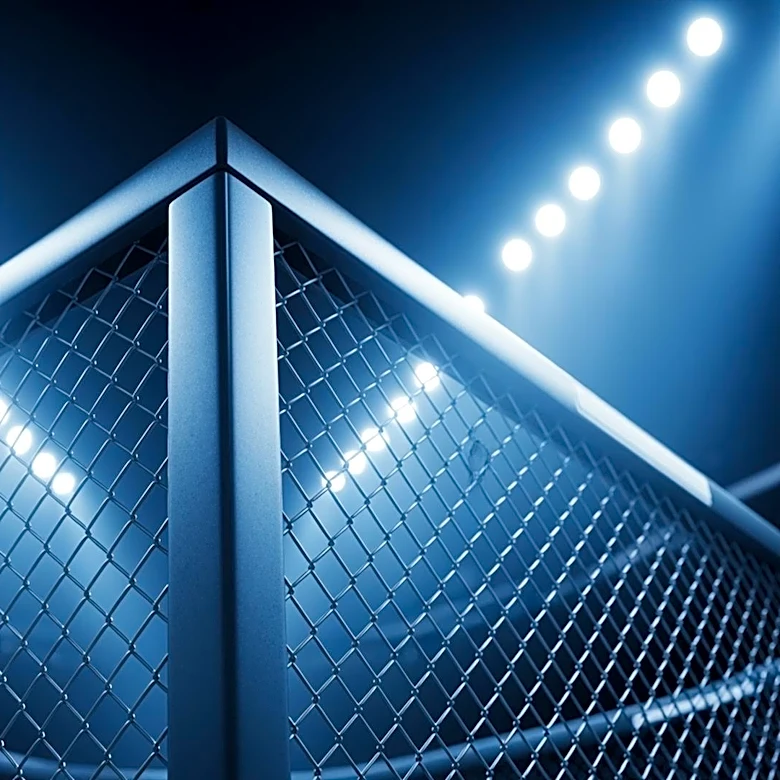 Melissa Gatto Returns to UFC After Injury Hiatus, Aiming for Flyweight Rankings