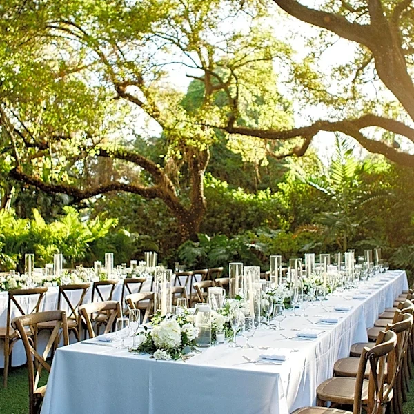 Southern Wedding's Dry Reception Leaves Guests Unimpressed