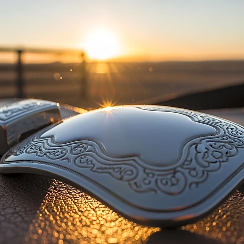 Latricia Duke's Rise to No. 2 in 2026 World Standings Highlights Rodeo Success