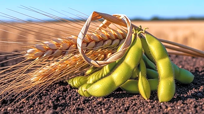 Rising Protein Demand Shifts Focus in U.S. Agriculture