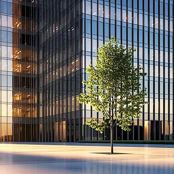 OpenGov Appoints Thiago Sá Freire as New CEO to Lead Growth