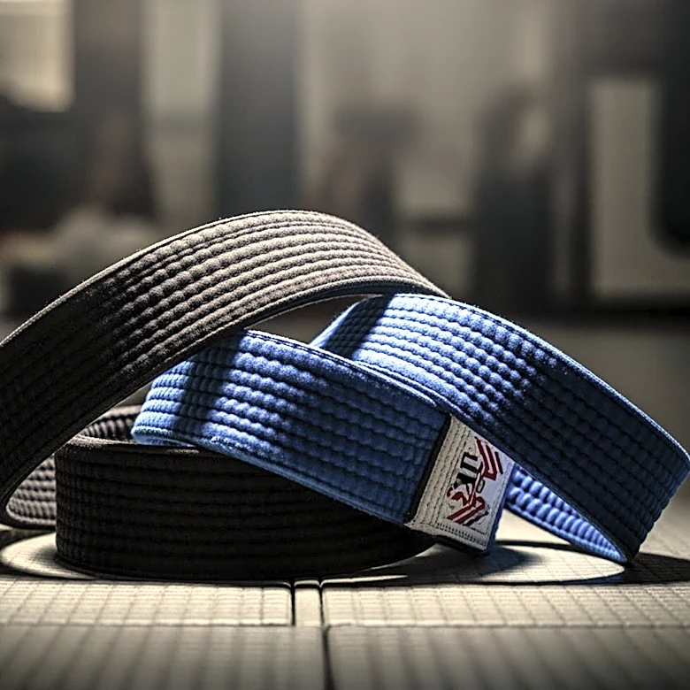 UFC BJJ 7: Aurelie Le Vern Loses Title to Rebeca Lima in Las Vegas