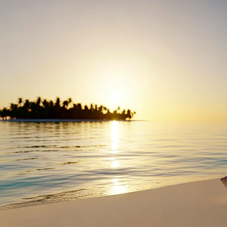 'Paradise' Season 2 Finale Attracts 4.3M Viewers In 3 Days