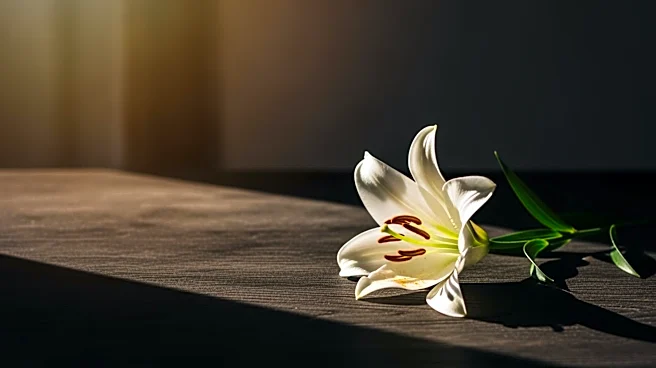 U2 Releases 'Easter Lily' EP Reflecting on Personal and Global Themes