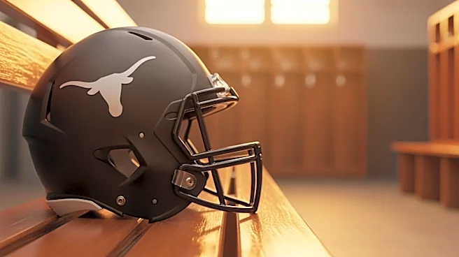 Texas Longhorns' Ryan Niblett Anticipates Expanded Role in 2026 Season