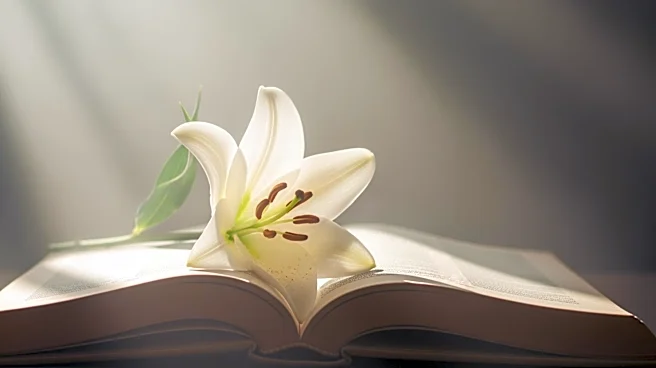 U2 Releases Second EP of 2026, 'Easter Lily', Highlighting Spiritual Themes