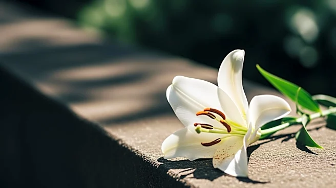 U2's 'Easter Lily' EP Explores Personal and Political Themes