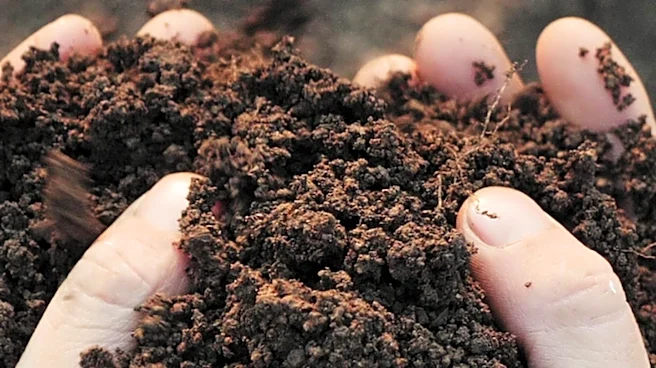 DIY Worm Farm Revolutionizes Home Composting with Tiger Worms