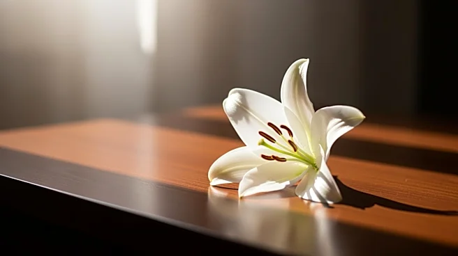 U2 Releases 'Easter Lily' EP, Exploring Spiritual Themes