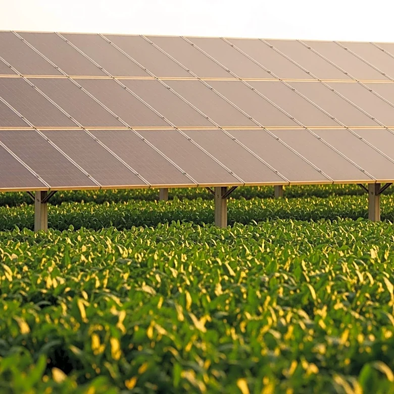 LONGi Founder Advocates Photovoltaics for Global Food Security