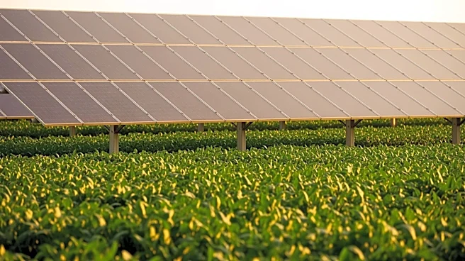 LONGi Founder Advocates Photovoltaics for Global Food Security