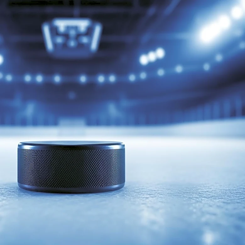 NHL Game Recaps and Analysis of Maple Leafs' Management Decisions