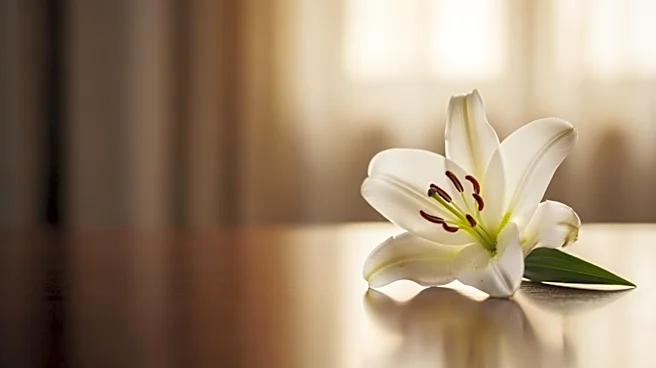 Actress Dee Freeman Passes Away at 66 After Battle with Cancer