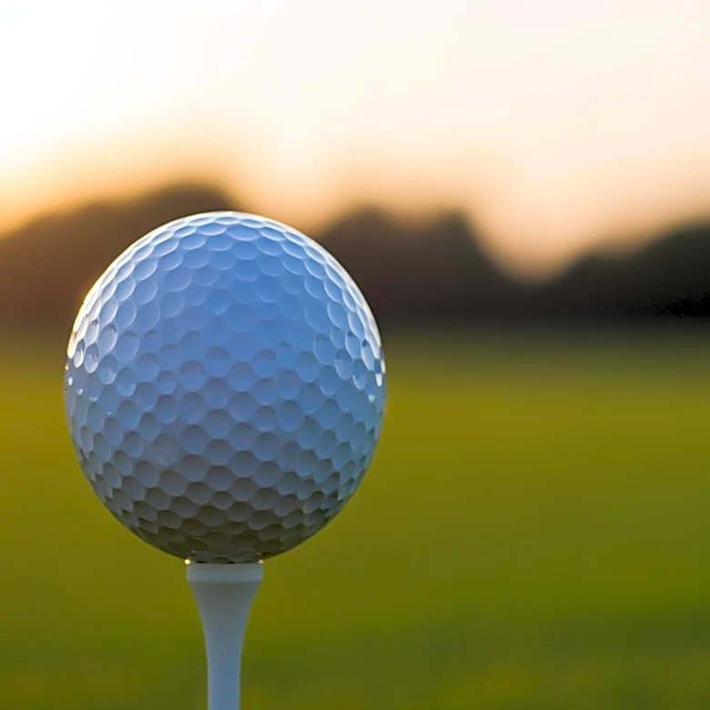 Vanessa Trump Expresses Support for Tiger Woods After DUI Incident