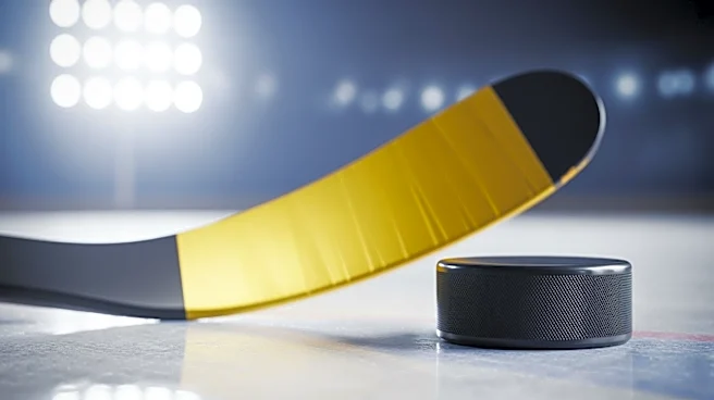 Nashville Predators' Zachary L'Heureux Scores in Win Over Kings