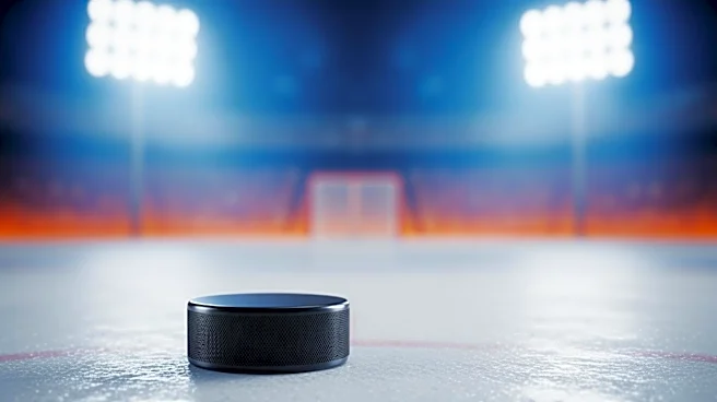 Robert Thomas Scores Equalizer for St. Louis Blues Against Anaheim Ducks