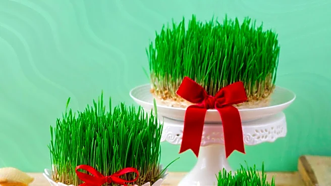 Strategies for Hosting an Easter Party with Minimal Cleanup