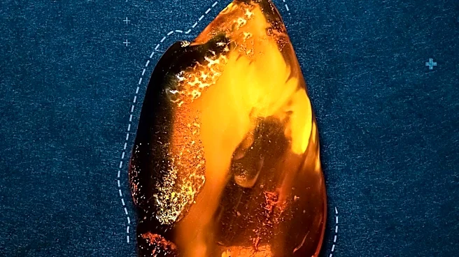 Study Reveals Salvador Dalí's Amber Varnish May Have Caused Painting Decay