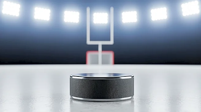 Ottawa Senators Aim for Playoff Spot in Crucial Game Against Minnesota Wild