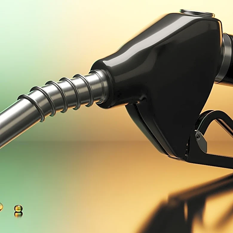 GEMA President Advocates for India's E20 Ethanol Blending to Enhance Energy Self-Reliance