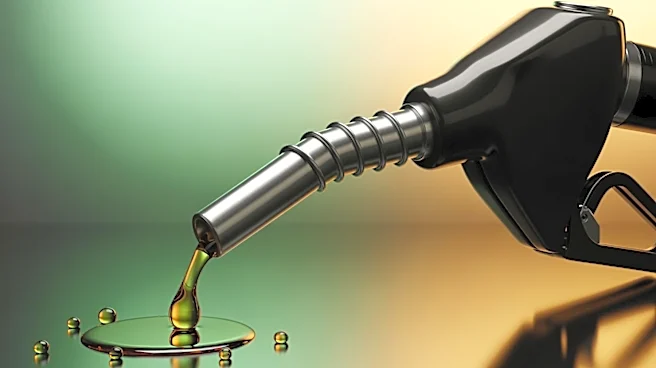 GEMA President Advocates for India's E20 Ethanol Blending to Enhance Energy Self-Reliance