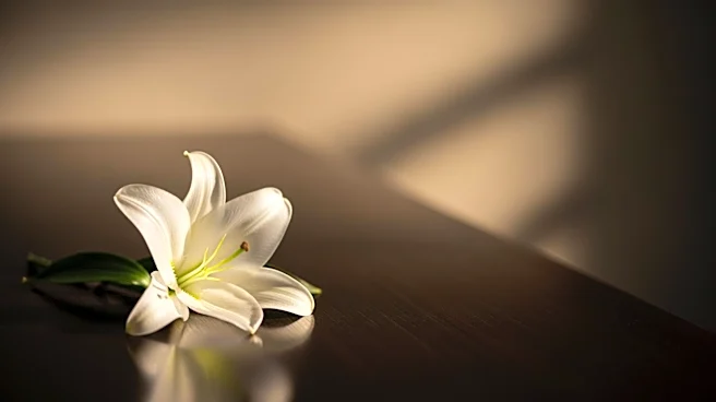 Actress Dee Freeman Passes Away at 66 Following Lung Cancer Battle