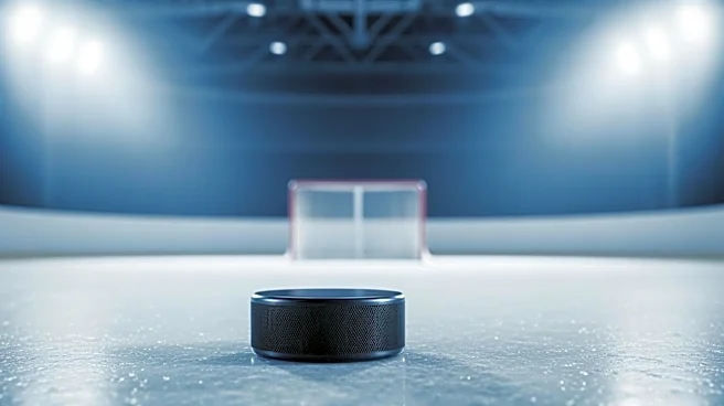 St. Louis Blues Keep Playoff Hopes Alive with Victory Over Anaheim Ducks