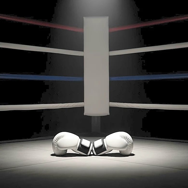 Chantelle Cameron Doubts Katie Taylor Will Opt for Trilogy Fight as Career Finale