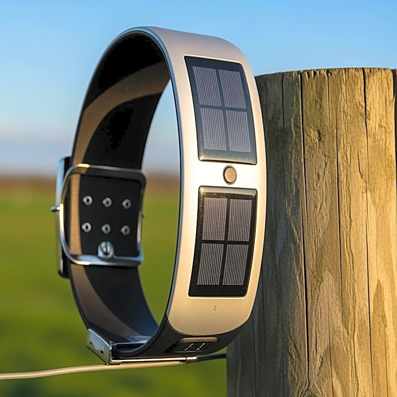 Peter Thiel Invests in Solar-Powered Cow Collars to Revolutionize Cattle Management