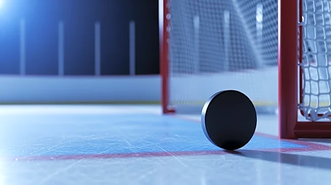 Anders Lee's Late Goal Narrowly Misses Comeback for Islanders