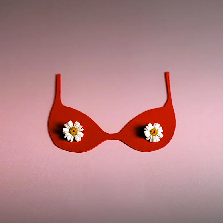 Elle Macpherson Embraces Wellness in New Underwear Campaign at 62