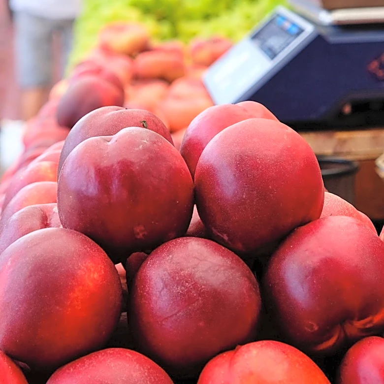 Midtown Farmer's Market in Sacramento Expands Circular Retail for Earth Month