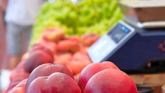 Midtown Farmer's Market in Sacramento Expands Circular Retail for Earth Month