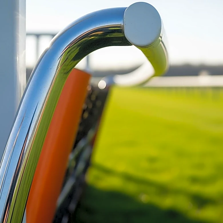 Mondo Man Headlines Sussex Champion Hurdle at Plumpton