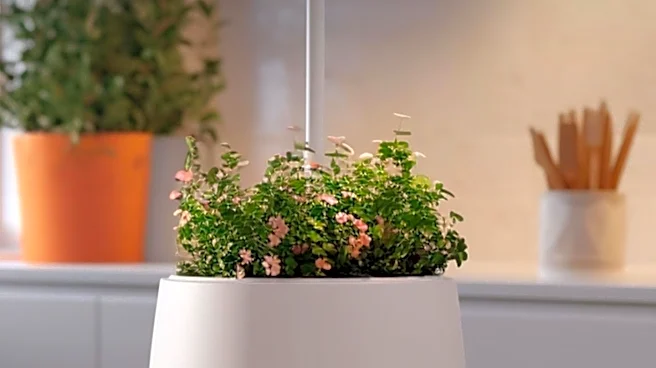 LeafyPod Smart Planter Offers Solution for Plant Care Amidst User Inactivity