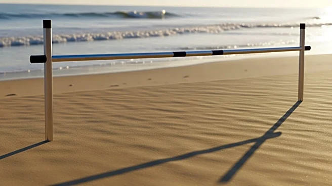 Julian Brown Sets Nation-Leading High Jump Record at Beach Run Invitational