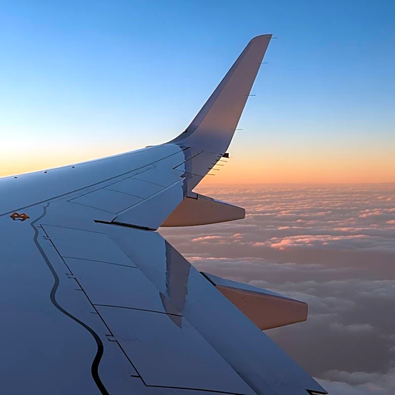 American Airlines Executives Robert Isom and Doug Parker Fly Together from Paris, Sparking Interest