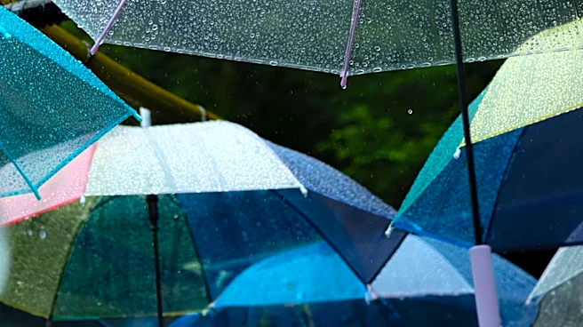 NYC's Easter Bonnet Festival Attracts Large Crowd Despite Rainy Weather