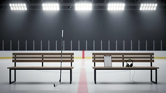 Islanders Replace Patrick Roy with Pete DeBoer Amid Playoff Push