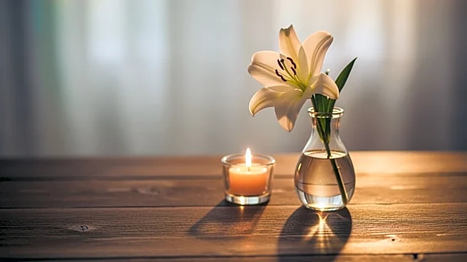 Jessi Draper Shares Emotional Easter Post Amid Divorce Proceedings