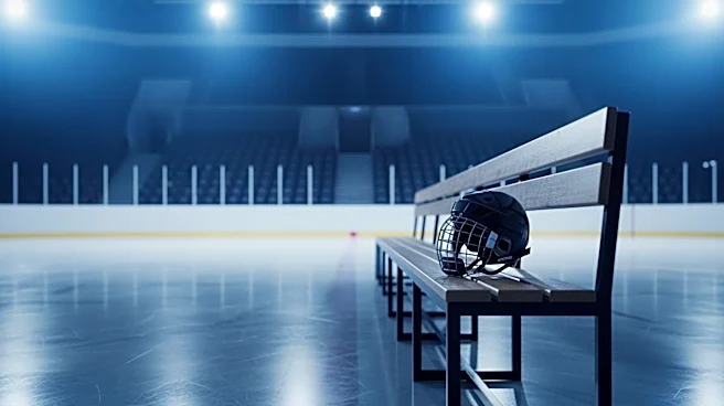 Patrick Roy Fired as Islanders Coach, Replaced by Peter DeBoer