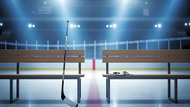 New York Islanders Replace Head Coach Patrick Roy with Peter DeBoer Amid Playoff Uncertainty