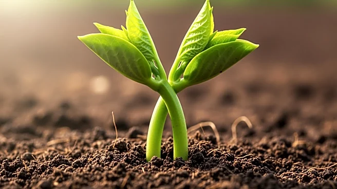 Regrow Ag and PUMA Merge to Enhance Agricultural Sourcing and Sustainability